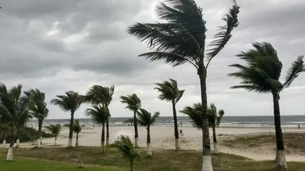 Ilustração: Thais Kaniak / G1