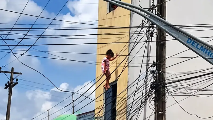 Reprodução